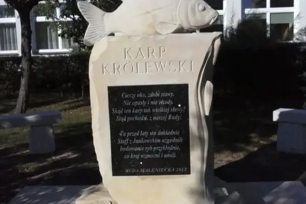 Półkolonie GOOL PARTY: Dzień pełen atrakcji – baseny, pizza i spotkanie z piłkarzami Korony Kielce