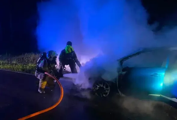Pożar auta po zderzeniu z sarną na DK42 w Dębie