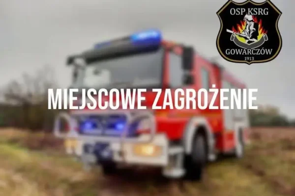 Drzewo pochylone na linię energetyczną w Kurczaczach – interwencja OSP Gowarczów