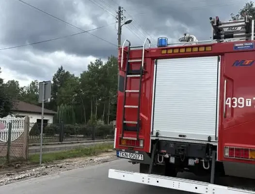 Usuwanie gniazda szerszeni w Rudzie Białaczowskiej – interwencja OSP Gowarczów