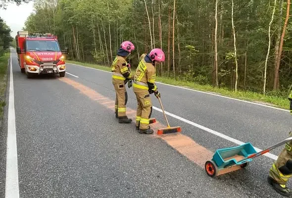 Kolizja z dzikim zwierzęciem na DK42 w Dębie – interwencja strażaków