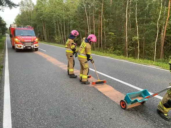 Kolizja z dzikim zwierzęciem na DK42 w Dębie – interwencja strażaków