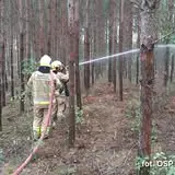 Kiermasz charytatywny w Fałkowie – wsparcie dla OSP KSRG Czermno