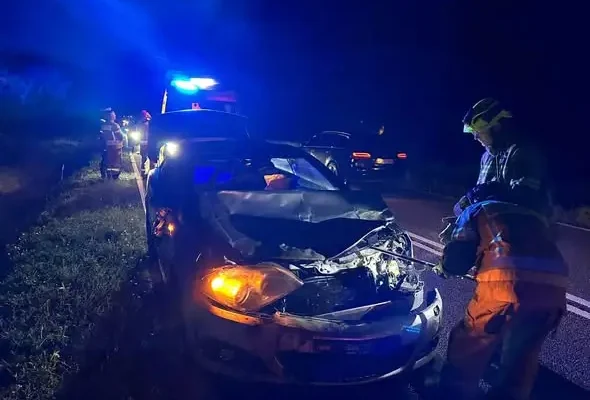Trzecia kolizja z dziką zwierzyną w okolicy Dęby na DK42 – apel o ostrożność