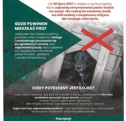 Nowe przepisy o utrzymaniu psów i kotów – zakaz uwięzi od 2027 roku