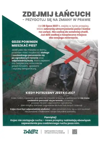 Nowe przepisy o utrzymaniu psów i kotów – zakaz uwięzi od 2027 roku