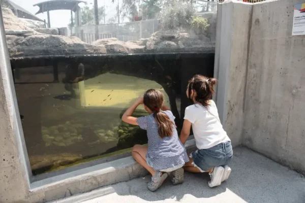 Pierwszaki i przedszkolaki ze Stąporkowa na wycieczce w Mini Zoo TuluTulu